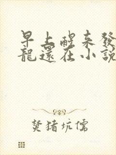 早上醒来发现巨龙还在小说