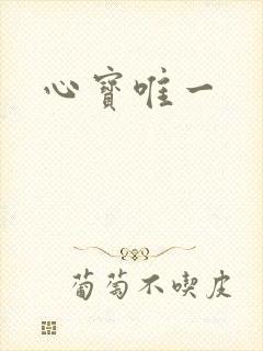 心宝唯一