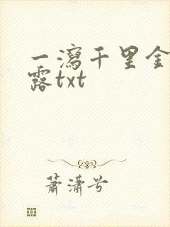 一泻千里金银花露txt