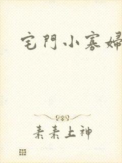 宅门小寡妇