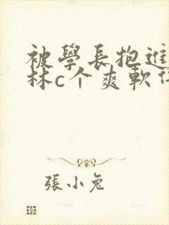 被学长抱进小树林c个爽软件