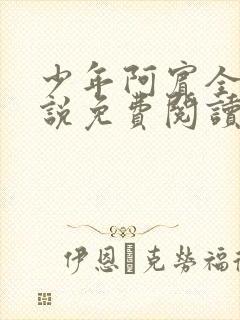 少年阿宾全文小说免费阅读笔趣阁