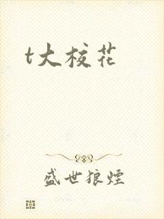 t大校花