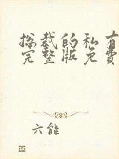 总裁的私有宝贝完整版免费阅读