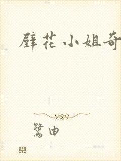 壁花小姐奇遇记