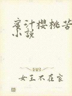 蜜汁樱桃苦咖啡小说