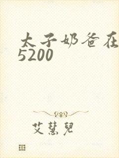 太子奶爸在花都5200