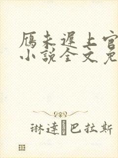 雁未迟上官穿越小说全文免费阅读