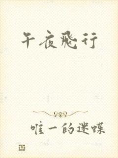午夜飞行