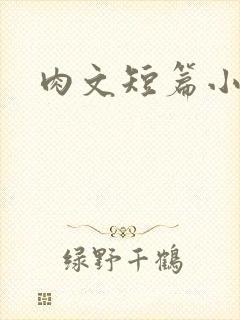 肉文短篇小说