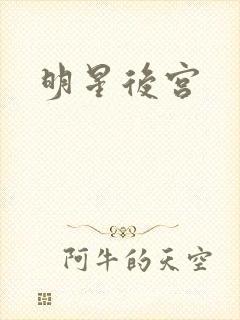 明星后宫