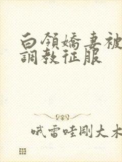 白领娇妻被老板调教征服