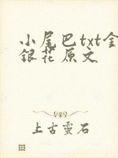 小尾巴txt金银花原文