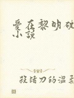 爱在黎明破晓前小说