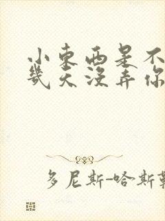 小东西是不是好几天没弄你了