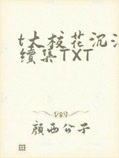 t大校花沉浮录续集TXT