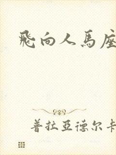 飞向人马座