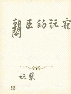 朝臣的玩宠笔趣阁