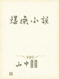 爆操小说