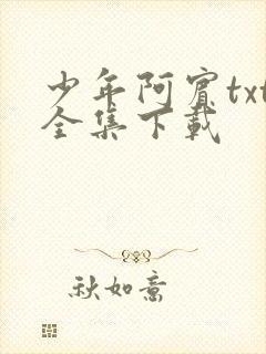 少年阿宾txt全集下载