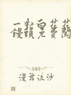 一对白花花的大馒头免费阅读