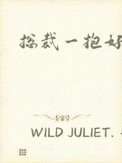 总裁一抱好欢喜