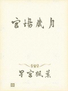 官场岁月