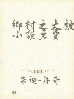 乡村之大被同眠小说免费