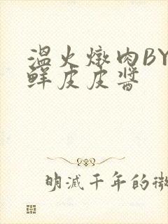 温火炖肉BY海鲜皮皮酱