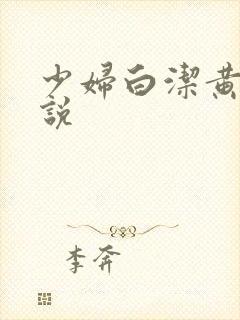 少妇白洁黄色小说