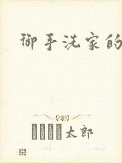 御手洗家的墙洞