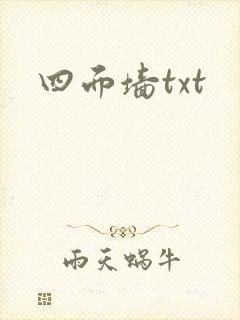 四面墙txt