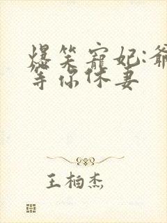 爆笑宠妃:爷我等你休妻