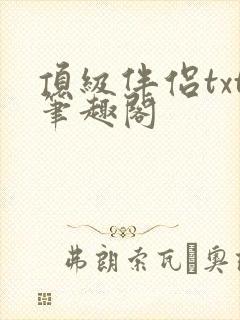 顶级伴侣txt笔趣阁