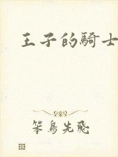 王子的骑士小说