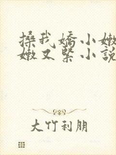 搡我娇小嫩苞又嫩又紧小说