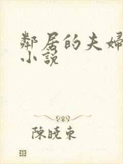 邻居的夫妇交换小说