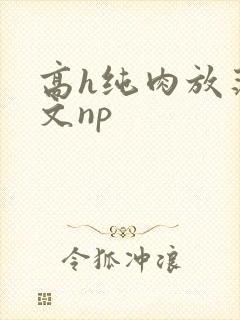 高h纯肉放荡h文np