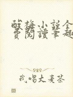 酸梅小说全文免费阅读笔趣阁