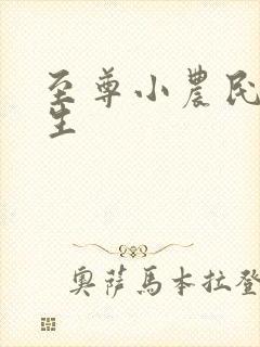 至尊小农民王木生