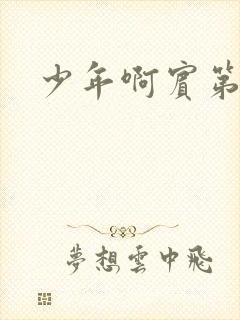 少年啊宾第二部