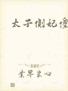 太子侧妃傻乎乎