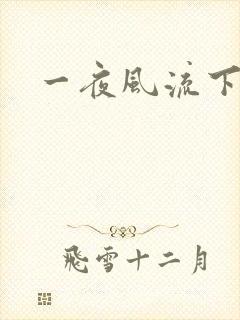 一夜风流下载