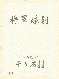 将军嫁到