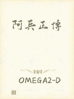 阿兵正传