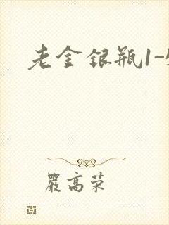 老金银瓶1-5