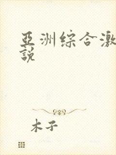 亚洲综合激情小说