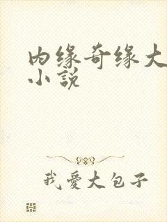 内缘奇缘大团圆小说