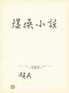 爆操小说