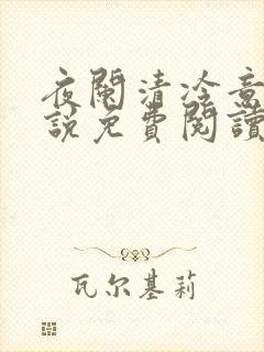 夜阑清冷意欢小说免费阅读